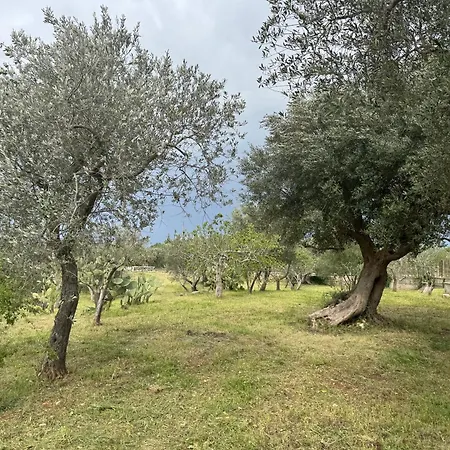Casa Della Felicita Ferienhaus