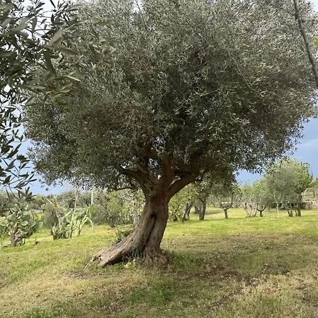 Casa Della Felicita Ferienhaus Castellana Grotte